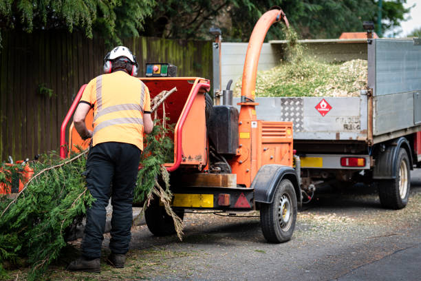 Best Commercial Tree Services  in Mondovi, WI