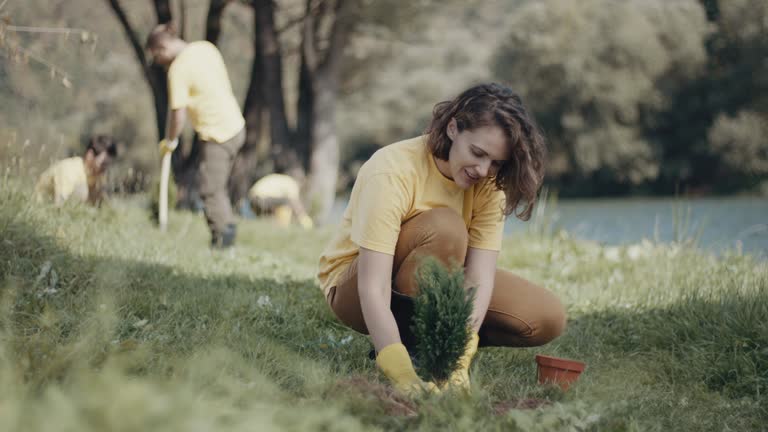 Best Lawn Renovation and Restoration  in Mondovi, WI