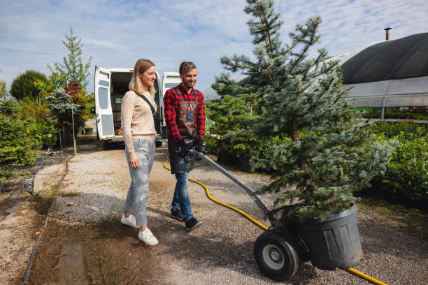 Best Pest Control for Lawns  in Mondovi, WI